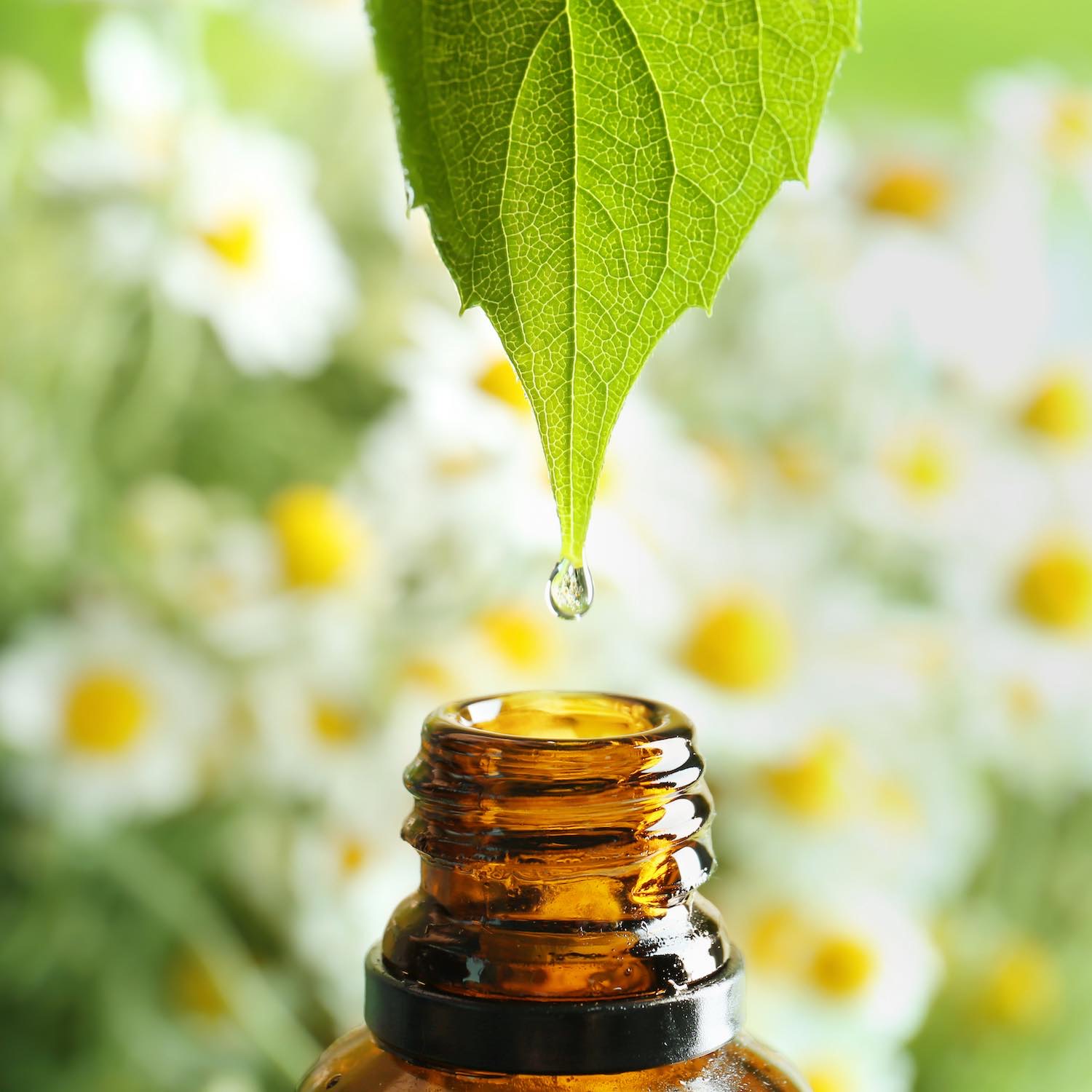 Aromathérapie Pharmacie Belle Etoile Argentan